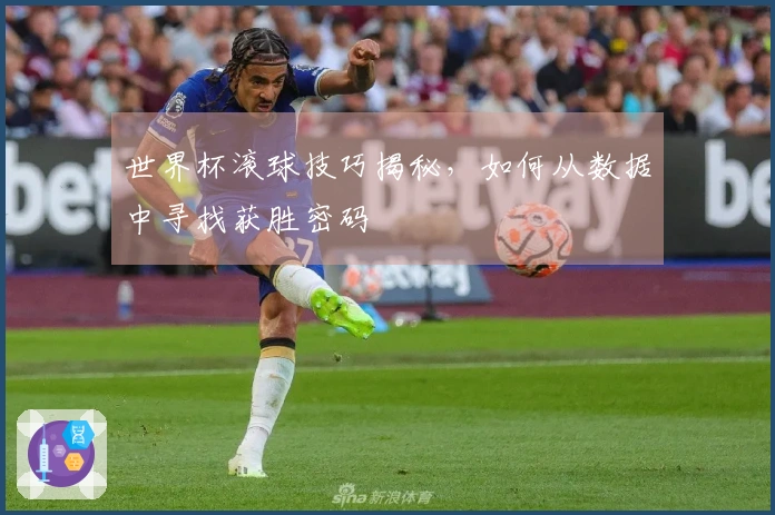 世界杯滚球技巧揭秘，如何从数据中寻找获胜密码