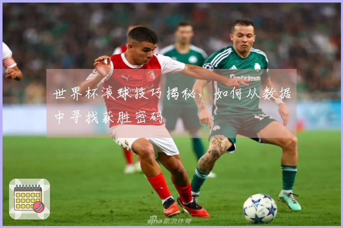 世界杯滚球技巧揭秘，如何从数据中寻找获胜密码