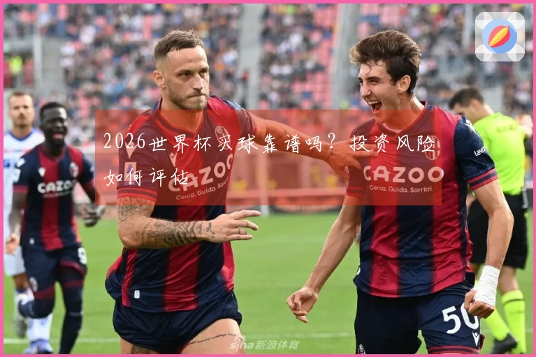 2026世界杯买球靠谱吗？投资风险如何评估