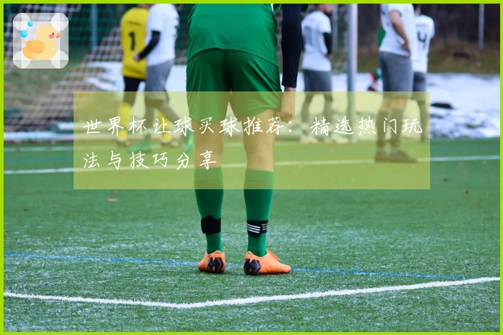 世界杯让球买球推荐：精选热门玩法与技巧分享
