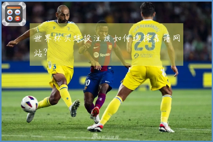 世界杯买球投注该如何选择靠谱网站？