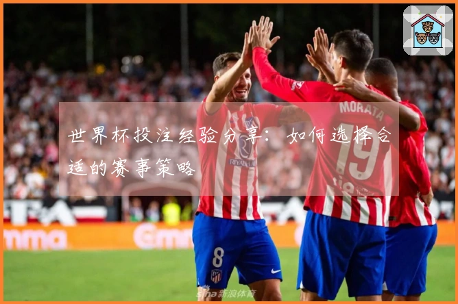 世界杯投注经验分享：如何选择合适的赛事策略