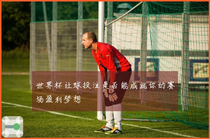 世界杯让球投注是否能成就你的赛场盈利梦想