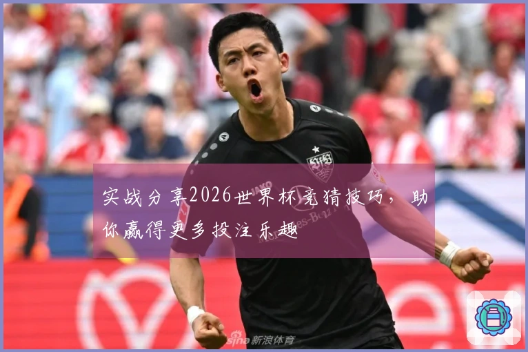 实战分享2026世界杯竞猜技巧，助你赢得更多投注乐趣
