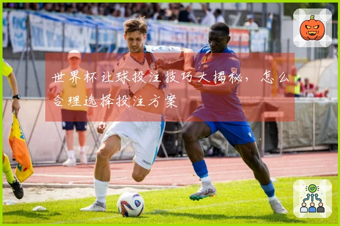 世界杯让球投注技巧大揭秘，怎么合理选择投注方案