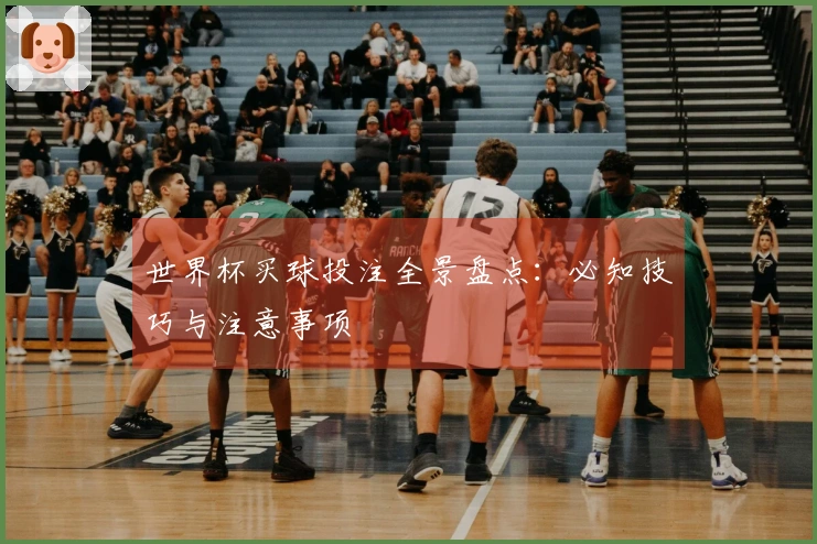 世界杯买球投注全景盘点：必知技巧与注意事项