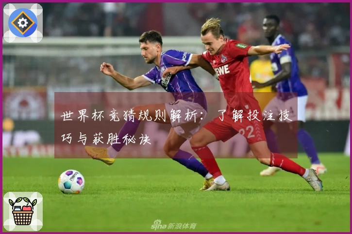 世界杯竞猜规则解析：了解投注技巧与获胜秘诀