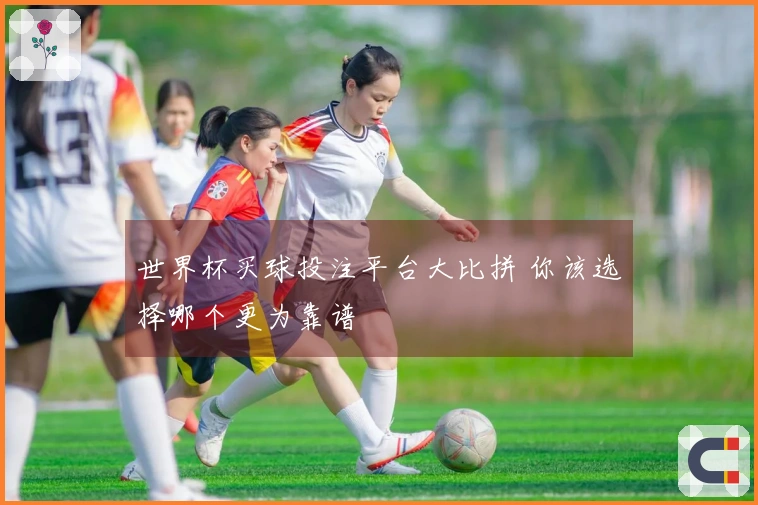 世界杯买球投注平台大比拼 你该选择哪个更为靠谱